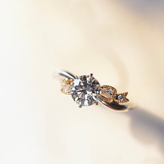 CALIDODRA โ SGK1064V