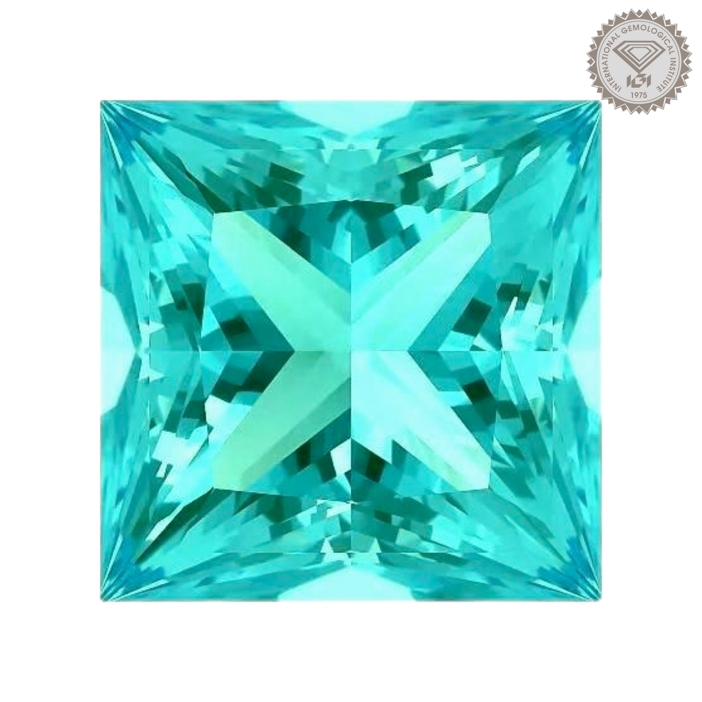 培育帕拉伊巴石榴石 - 公主方形