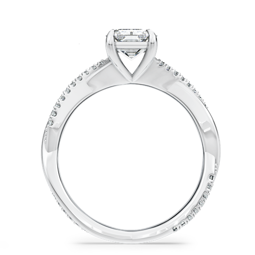 PHAEDRA โ TM0033EM