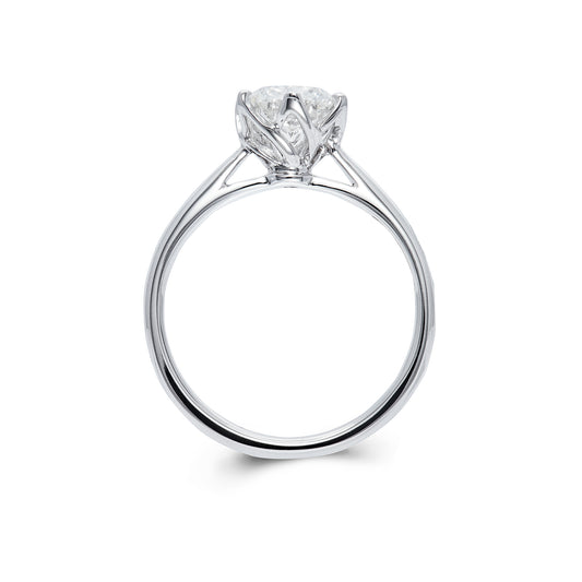 ๅฐ้/็ก็ข้ฝ, ็ด็ท, ้ฆๆธฏ ๅ็็ตๅฉๅฐๆ CALANTHA โ FM0532