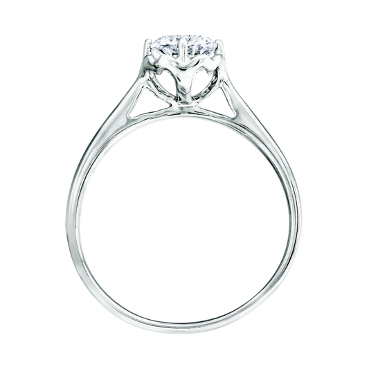 ๅฐ้/็ก็ข้ฝ, ๆพๅคง, ็ด็ท, ้ฆๆธฏ ๅ็็ตๅฉๅฐๆ KALILA โ KLR0050