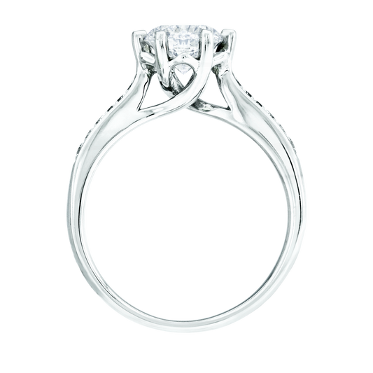 ๆพๅคง, ๆ็ข้ฝ, ็ด็ท, ้ฆๆธฏ ๅ็็ตๅฉๅฐๆ ERIANTHE โ KLR0051