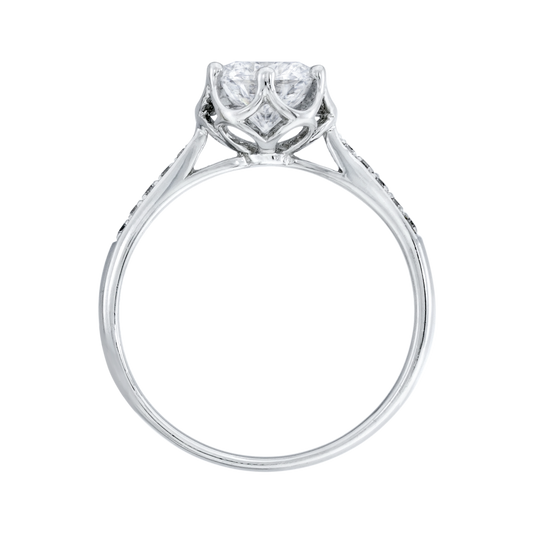 ๆพๅคง, ๆ็ข้ฝ, ็ด็ท, ้ฆๆธฏ ๅ็็ตๅฉๅฐๆ EVANTHE โ KLR0113