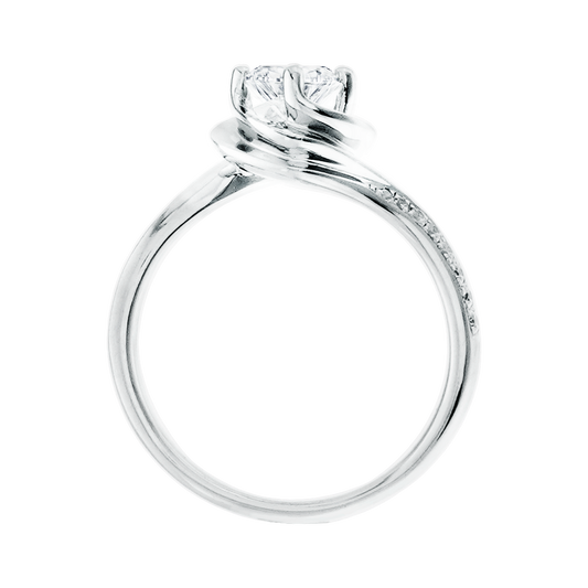 ๆพๅคง, ๆ็ข้ฝ, ้ฆๆธฏ ๅ็็ตๅฉๅฐๆ BLOSSOM โ KLR0114