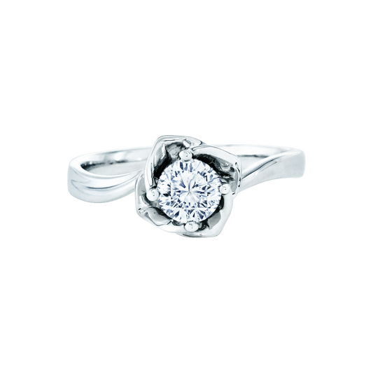 ๅฐ้/็ก็ข้ฝ, ๆฒ็ท, ้ฆๆธฏ ๅ็็ตๅฉๅฐๆ DIANTHE โ MF0057