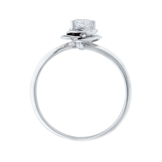 ๅฐ้/็ก็ข้ฝ, ๆพๅคง, ๆฒ็ท, ้ฆๆธฏ ๅ็็ตๅฉๅฐๆ ROSALIND โ SGJ0557