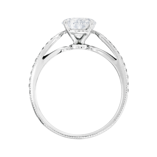 ๆฅๆฌ, ๆ็ข้ฝ, ็ด็ท ๅ็็ตๅฉๅฐๆ BONITA โ SGQ4488