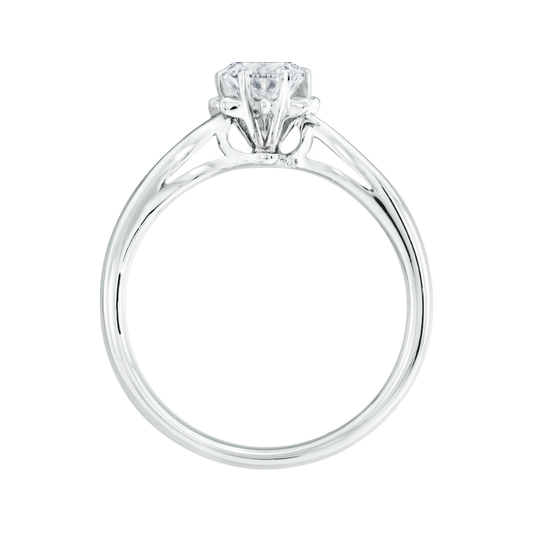 ๅฐ้/็ก็ข้ฝ, ๆพๅคง, ๆฒ็ท, ้ฆๆธฏ ๅ็็ตๅฉๅฐๆ GALATEA โ SLR0032