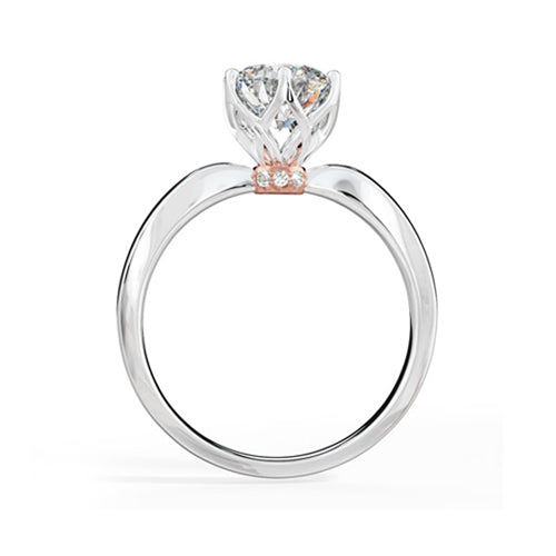 ๆ็ข้ฝ, ็ด็ท, ้ฆๆธฏ ๅ็็ตๅฉๅฐๆ SABINA โ TM0802