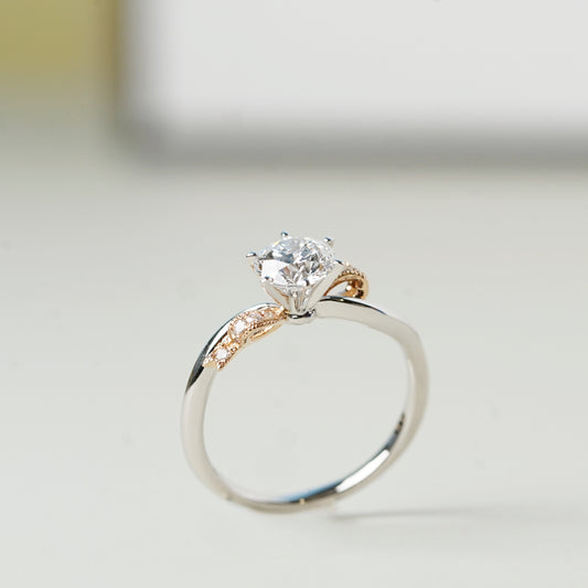 CALIDODRA 培育鑽石戒指托｜蝴蝶結造型扭臂配鑽戒圈（18K 金／鉑金）– SGK1064V