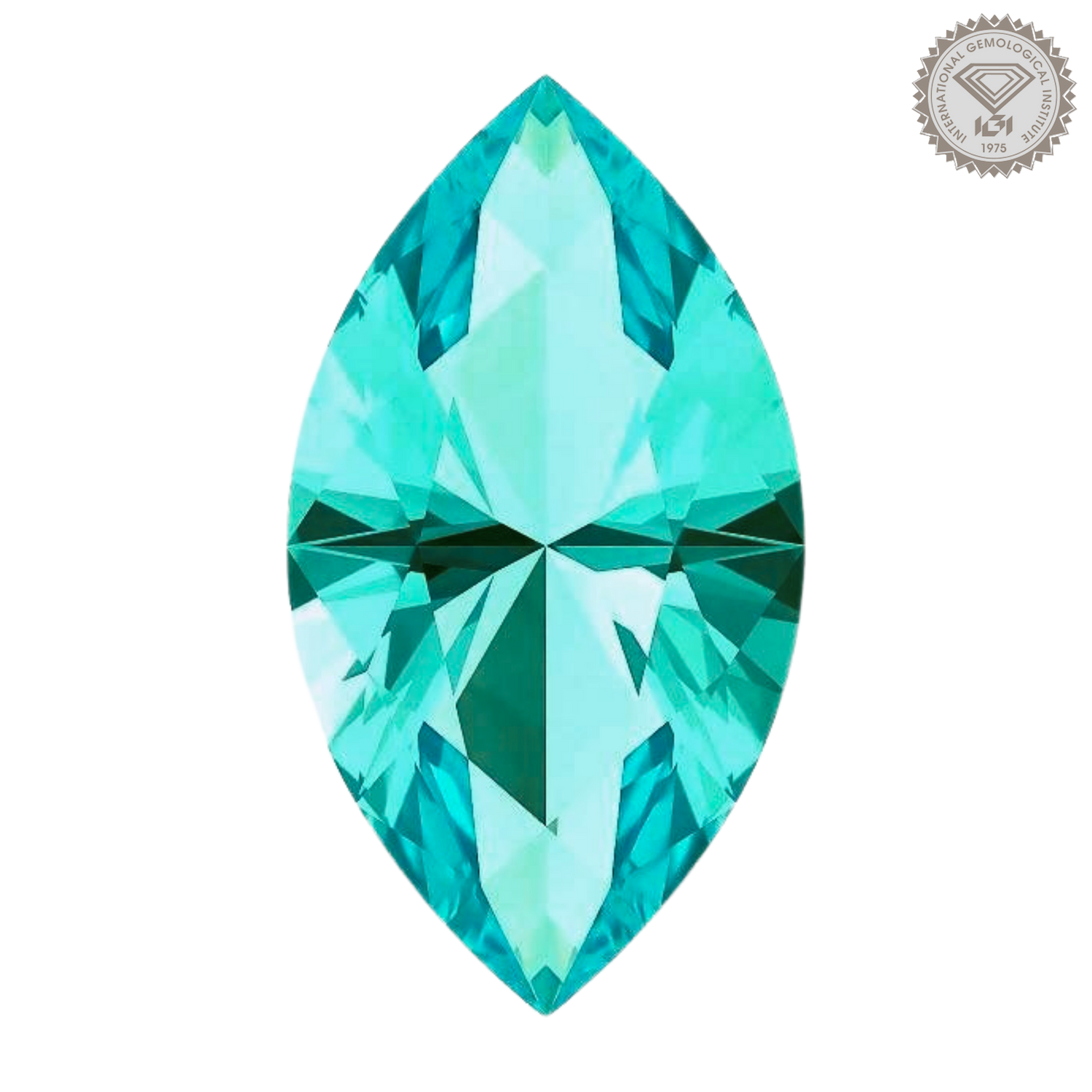 訂購培育帕拉伊巴石榴石