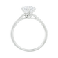少量/無碎鑽, 直線, 香港 品牌結婚對戒 BENEDICT – CD0001