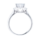 少量/無碎鑽, 直線, 香港 品牌結婚對戒 VENUS – SGK1082H